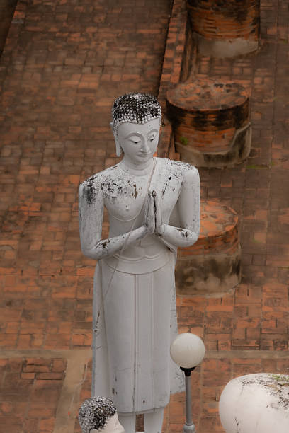 Buddha at the Wat Mahatat in the town of Ayutthaya , in Thailand