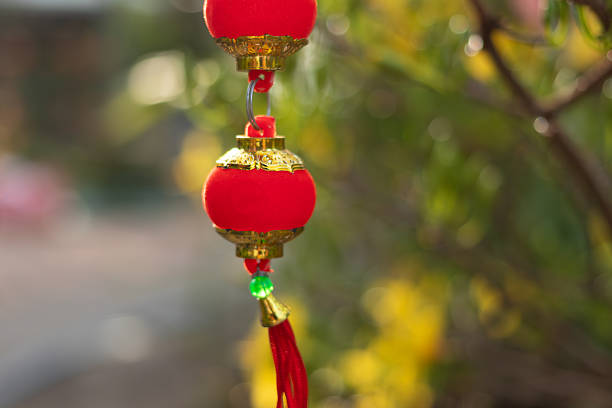 Chinese New Year traditional character \