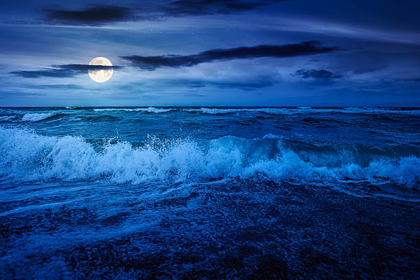 istock stormy weather on the sandy beach at night 2262106135