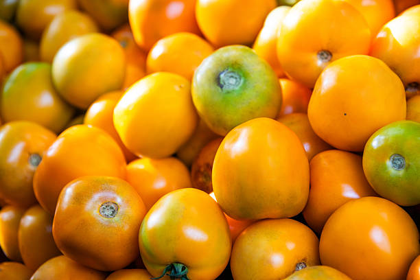 Pile of yellow tomatoes for background