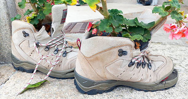 Geranium plants growing inside of two old broken hiking boots. Recycling flower pots seen along \