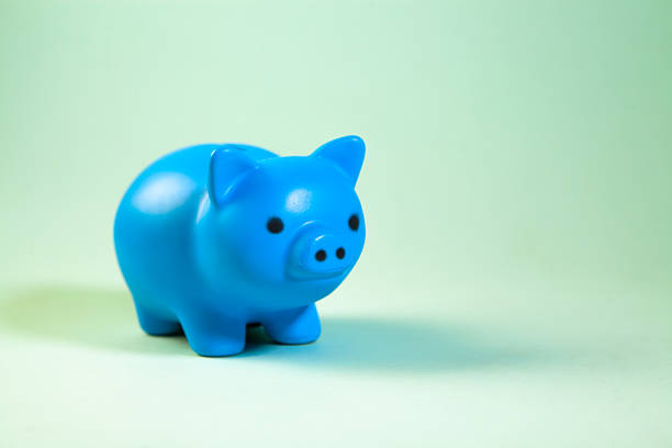 Blue piggy bank isolated on green background with copy space for text