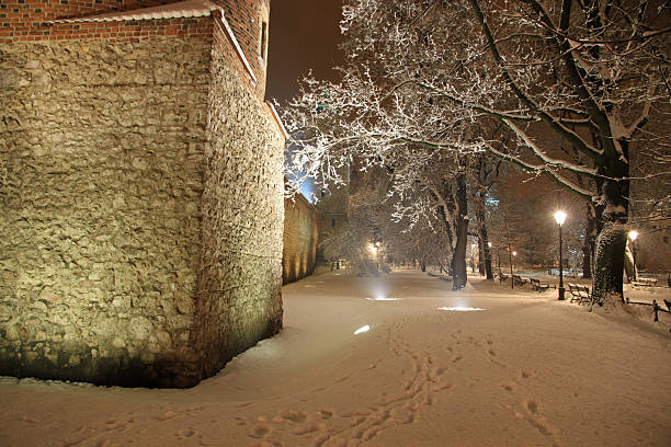 St. Florian's Gate or Florian Gate - old gothic gate in Cracow, Poland