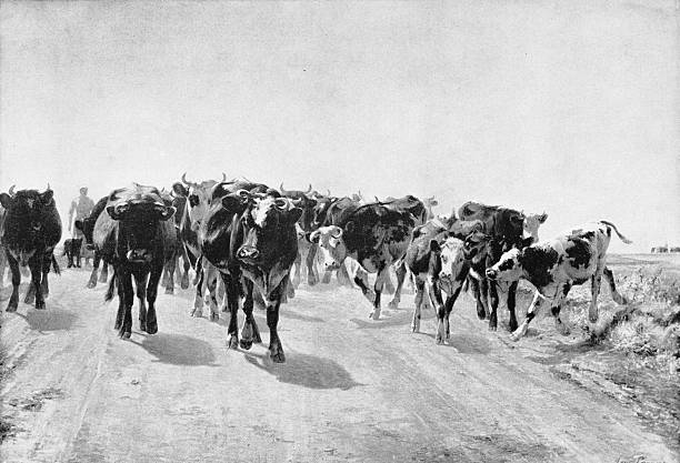 19th Century Painting: Aymar Pezant, Road of Vaudancourt