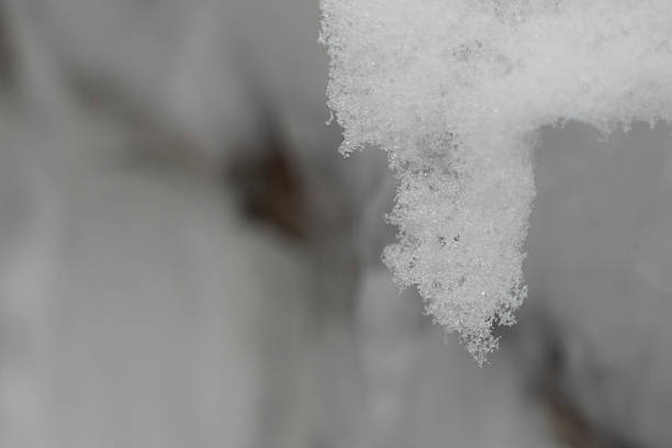 A detailed macro shot of sparkling white snow and ice crystals hanging in the cold winter air against a soft gray.