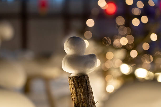 A tiny snow duck sits atop a rustic wooden post at night, illuminated by warm, festive holiday bokeh lights.