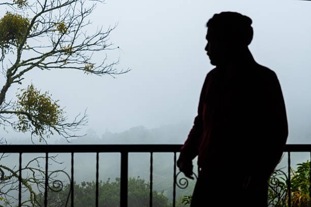 Blurred scene of male silhouette stands on a balcony gazing across a misty valley framed by bare tree branches, evoking solitude, contemplation, and calmness