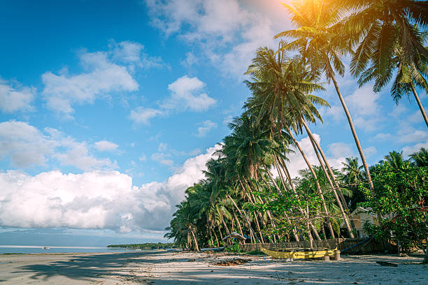 Sunlit tropical beach on Siquijor, Philippines, lined with leaning coconut palms, a small yellow boat on white sand and calm blue sea under a bright sky with scattered clouds.