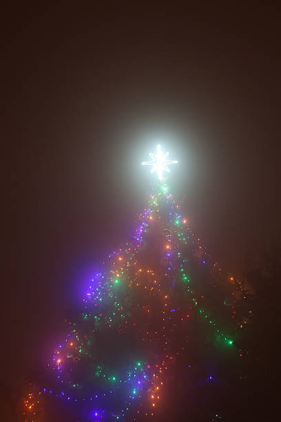 Magical Christmas Tree in the Haze at night