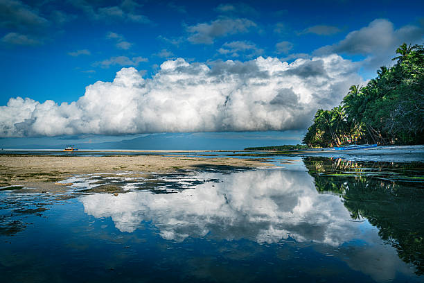 Brown and calm water of a tropical river
