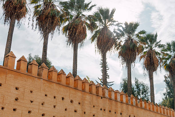 Tall palm trees rise above crenellated sand-colored walls, blending natural elements with defensive architecture in Fez.