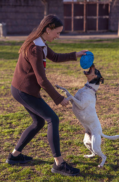 Smiling Woman Playing with Active Dog in Sunny Park Holding a Blue Flying Disc