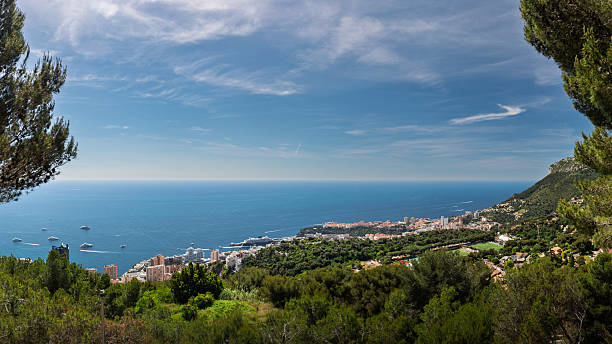 High-angle panoramic view from Beausoleil, Monaco, looking across the Monte Carlo coastline and urban skyline toward the Mediterranean Sea and distant horizon. Pine trees and dense green hillside vegetation frame the foreground, while apartment and residential buildings line the waterfront near the marina and harbor with vessels offshore. Clear blue sky and bright daylight create an idyllic travel-destination mood with generous copy space, suitable for tourism, European culture, real estate, and coastal lifestyle concepts.