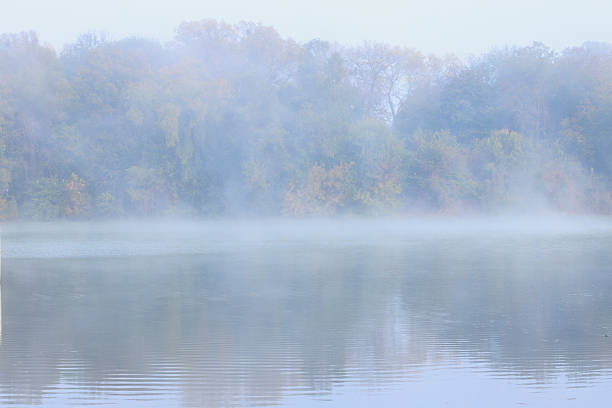 A serene landscape featuring a tranquil lake shrouded in soft mist with a dense forest visible in the background