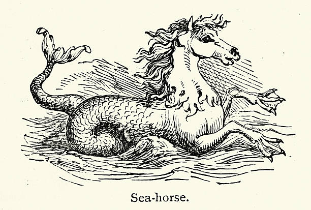 Mythical Sea horse used by the God Neptune to pull his chariot, Victorian, Vintage illustration, 19th Century