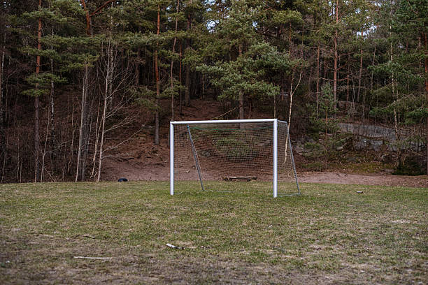 Empty soccer goal on quiet field near forest