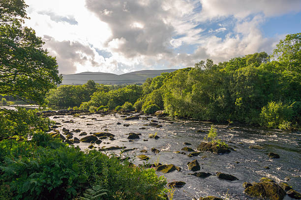 A river with a cloudy sky in the background. The water is calm and the trees are lush