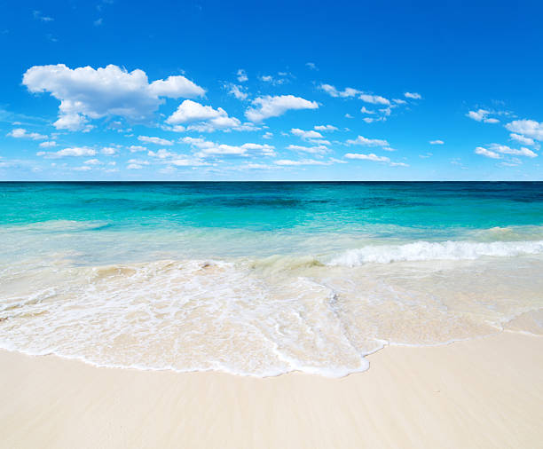 istock tropical beach in Maldives. sea landscape 2262174597