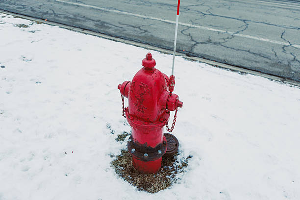 A fire hydrant is placed in a patch of snow with grass around it. A cracked road runs nearby, and it is daytime with clear lighting.