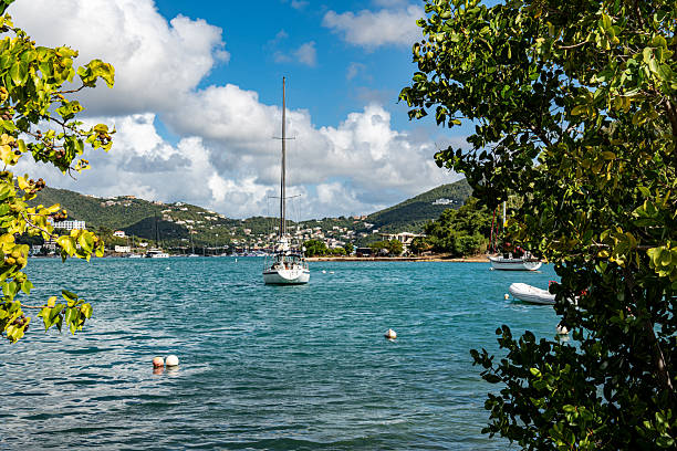 Sailboat framed by sea grape trees in St. Thomas