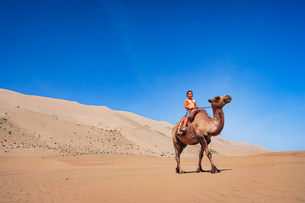 A smiling child sits atop a camel as it walks across expansive golden sand dunes beneath a brilliant blue sky. The camel is fitted with a colorful saddle blanket and led by a rope; low scrub dots the slopes of the dunes in the background. Bright sunlight creates crisp shadows on the sand, highlighting the wide, open desert landscape and the sense of calm adventure.