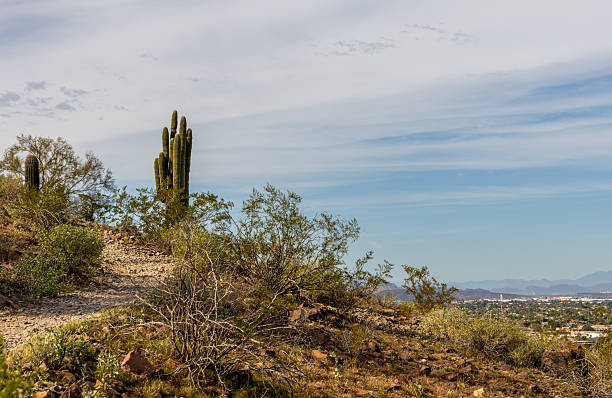 The Vast Sonora desert San Tan mountains in central Arizona USA on an early summer morning