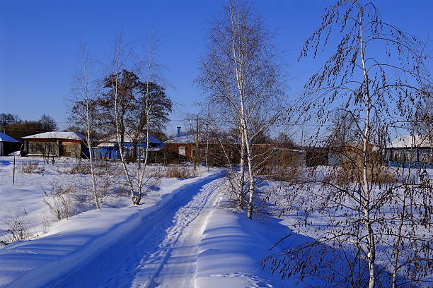 Russia, Borisoglebsk District, January 17, 2026. Winter rural landscape. Snow-covered rooftops, a road, and birch trees.