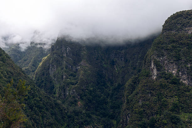Low clouds wrap rugged peaks and layered cliffs on Madeira island Portugal, misty mountain landscape with dense woodland and hidden ravines under overcast sky
