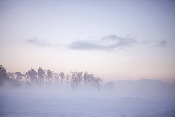 Snowy landscape with mist on a cold winter evening after sunset in Riisitunturi National Park, Northern Finland