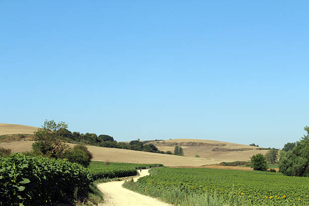 A dirt road in a beautiful rural area at sunset