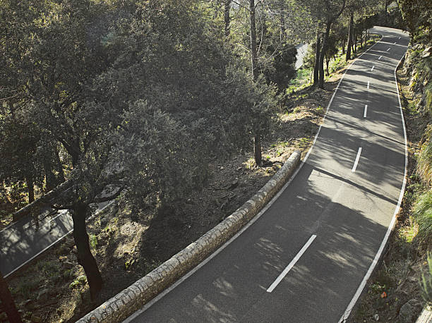 A road curves gently through a forest filled with tall trees. The sunlight filters through the branches, creating shadows on the pavement. A peaceful scene in nature.