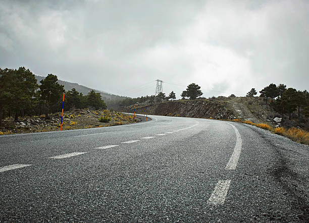 A winding road leads through trees on a cloudy day. Power lines stand tall in the background. Wet ground hints at recent rain. The scene shows nature and infrastructure together.