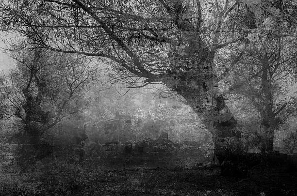Dark spooky textured autumn landscape showing forest on a stormy cold day.