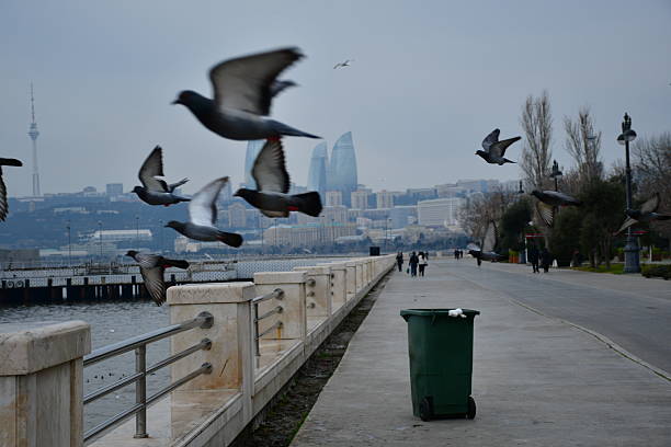 Panoramic view of a coastal walkway with ocean and flying birds, perfect for travel and lifestyle concepts.
