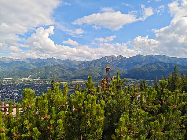 Majestic mountain view with green forest and bright clouds above peaceful valley