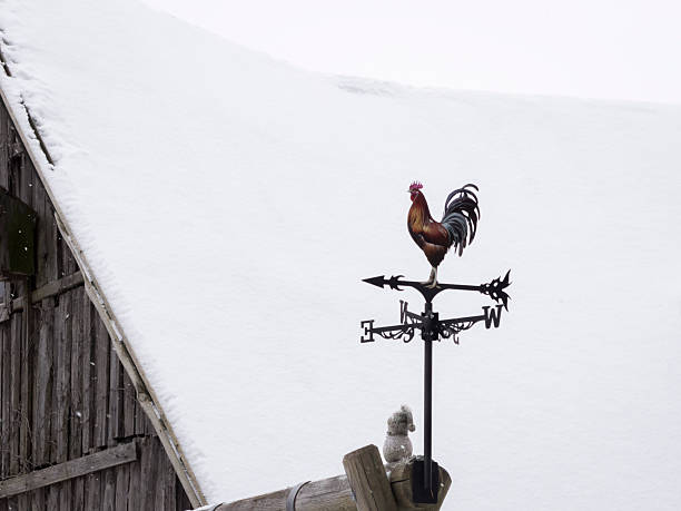 Rooster weather vane on a snow-covered rooftop in Vasknarva, during a quiet winter day. Traditional metal wind vane with a rooster silhouette above a rustic wooden building under heavy winter snow.