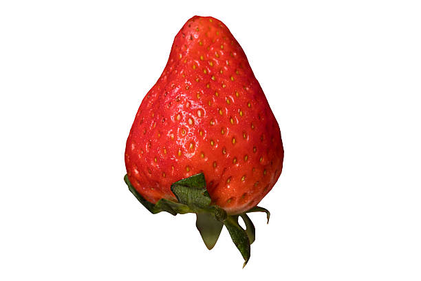 Single fresh ripe strawberry isolated on white background with clipping path, juicy red berry with natural texture and vibrant color. Clean studio shot ideal for packaging, labels, menus, and food design.