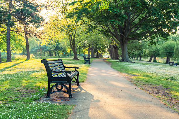 A bench in a scenic area with yellow flowers blooming around it