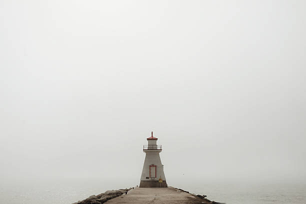 A lighthouse in the fog along the shores of Lake Huron. Cormorant flying by. Shot with a Canon 5D Mark IV.