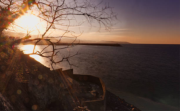 A dreamy, warm-toned sunset view of a harbor and coastline, framed by the silhouette of bare winter tree branches with soft lens flares.
