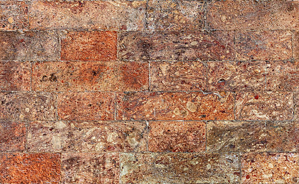 Close-up seamless texture of breccia stone masonry wall with natural patterns and warm tones, San Michele island in Venice.