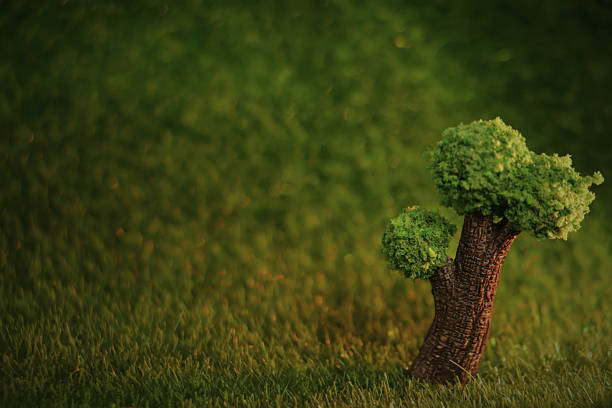 Small decorative tree on green grass with soft background. Miniature nature concept for environment, growth and sustainability theme. Selective focus with copy space.