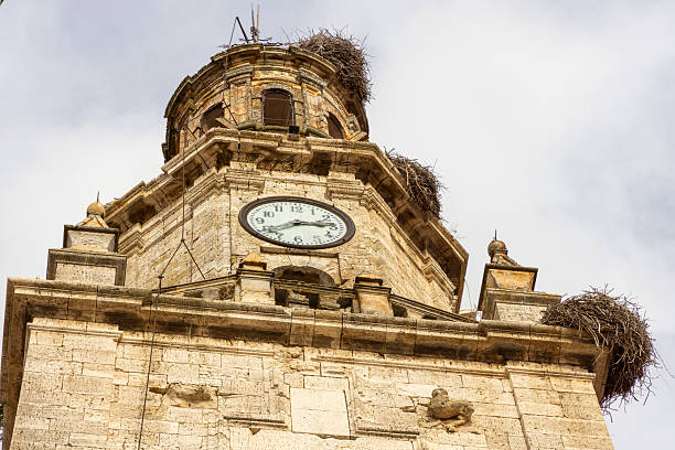 A clock tower with a clock face showing the time . The tower is old and has a lot of birds nesting on it in Toro, Spain.