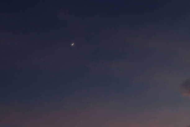 Moon among the trees