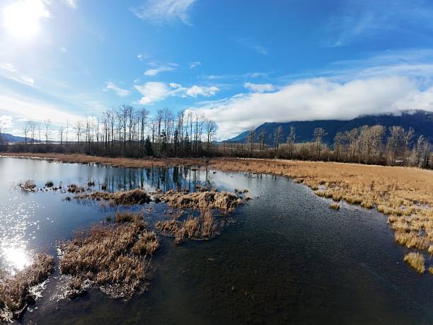 Sunrise at Grant Narrows BC Marsh Wildlife Management Area  at sunrise. great place to take in natures beauty, launch your boat, or walk the trail.