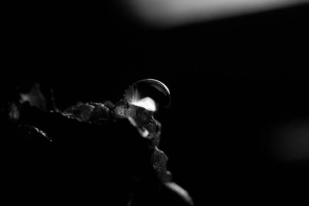 macro photograph of a droplet
