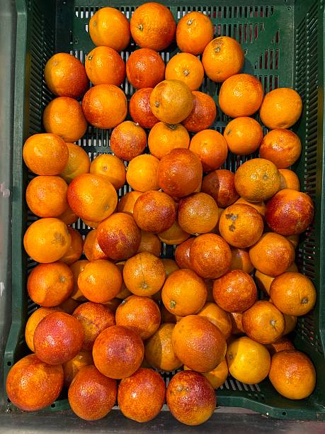 a variety of red oranges in a box