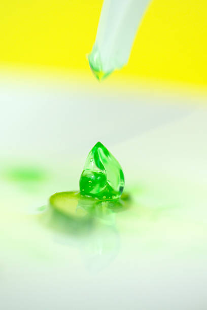 aloe vera gel drop on succulent slice white background macro green liquid crystal clear texture dripping from pipette for organic cosmetics skin care and healthcare concept of beauty, wellness