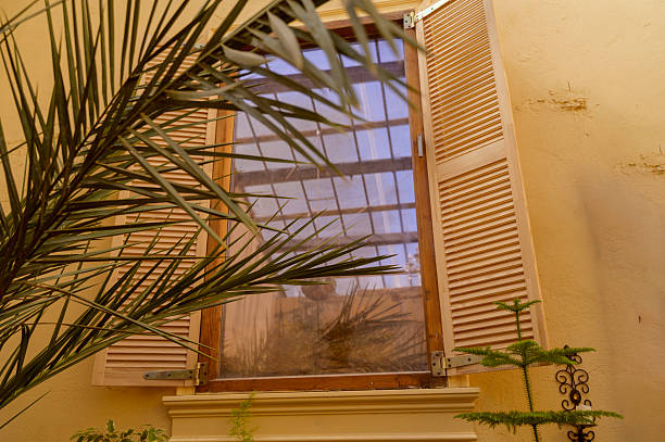 Oval vintage mirror reflecting Phoenix palm leaves on a sunlit yellow stone wall. Concept of Mediterranean interior design, aesthetic coastal home decor, and tropical vacation atmosphere
