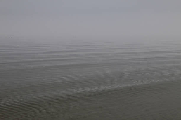Calm, expansive body of water with gentle ripples under an overcast sky, creating a tranquil and minimalist scene that evokes peace and vastness.